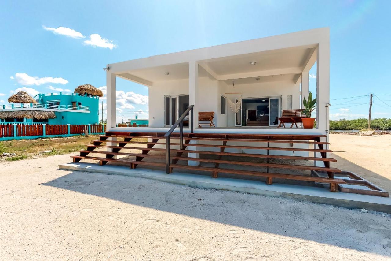 Jackson'S Paradiso Gold Standard Certified San Pedro  Buitenkant foto